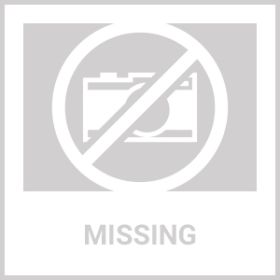 10 PCS Christmas Mini Artificial Pine Picks With Red Berries And Natural Pinecones Evergreen Pine Sprigs Holly Berries Faux Pine Needles For Festival