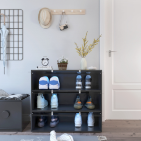 Black Glass Door Shoe Box Shoe Storage Cabinet With RGB Led Light