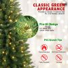 Prelit 7ft PVC Pencil Led WrapTree Artificial Slim green Christmas Tree